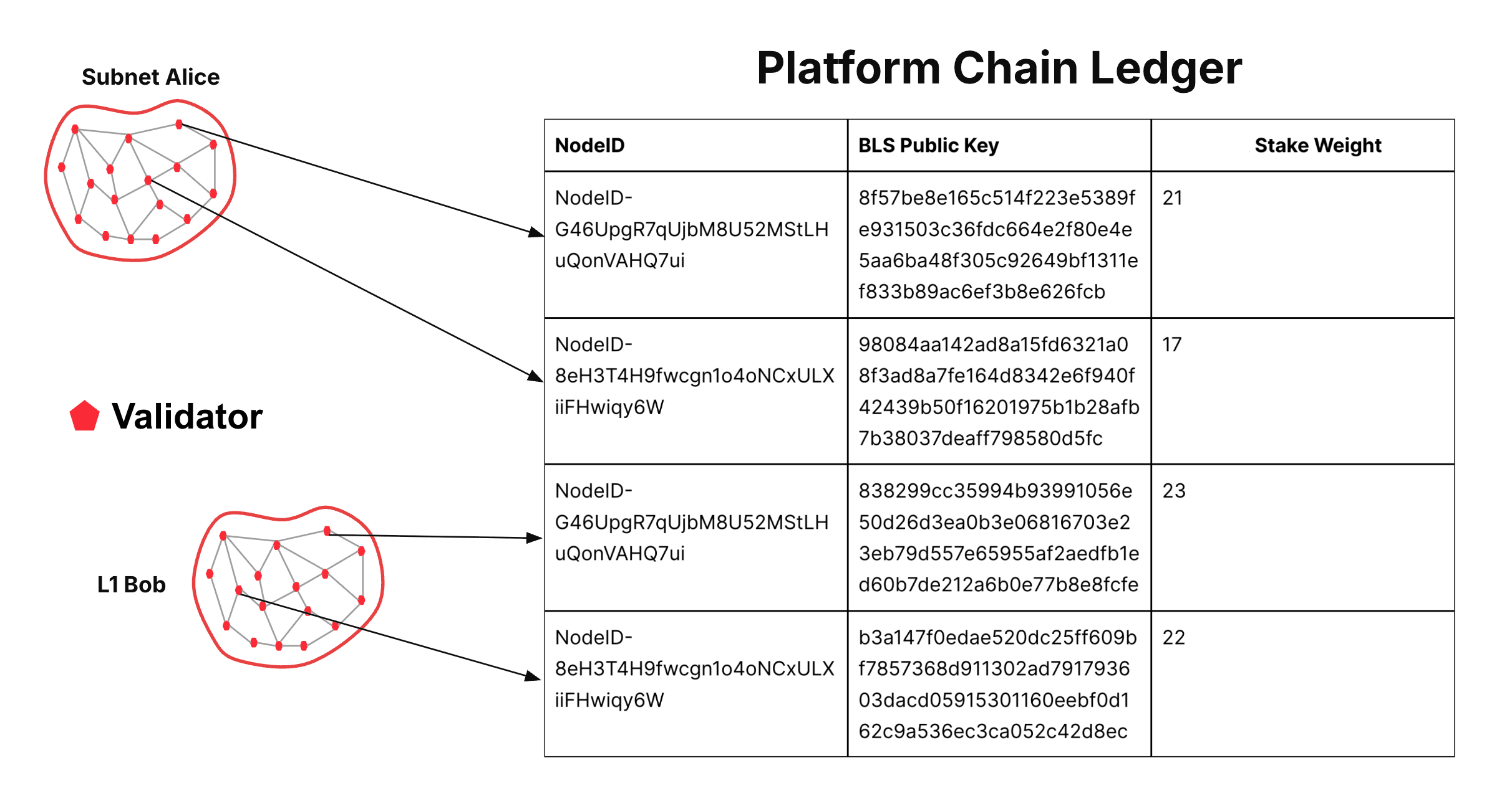 P-Chain Ledger View